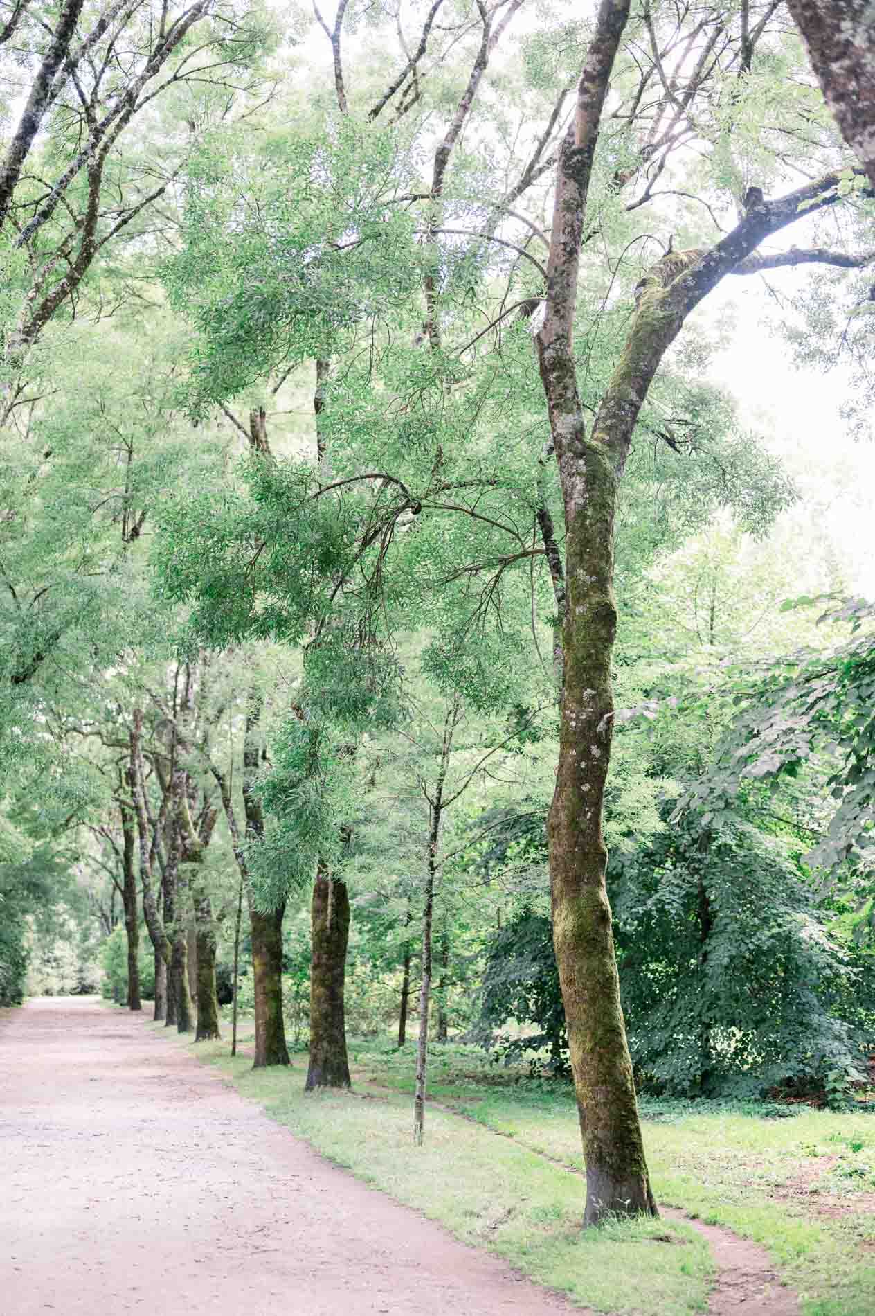 Shaded path lined with tall trees in the Parc Bordelais