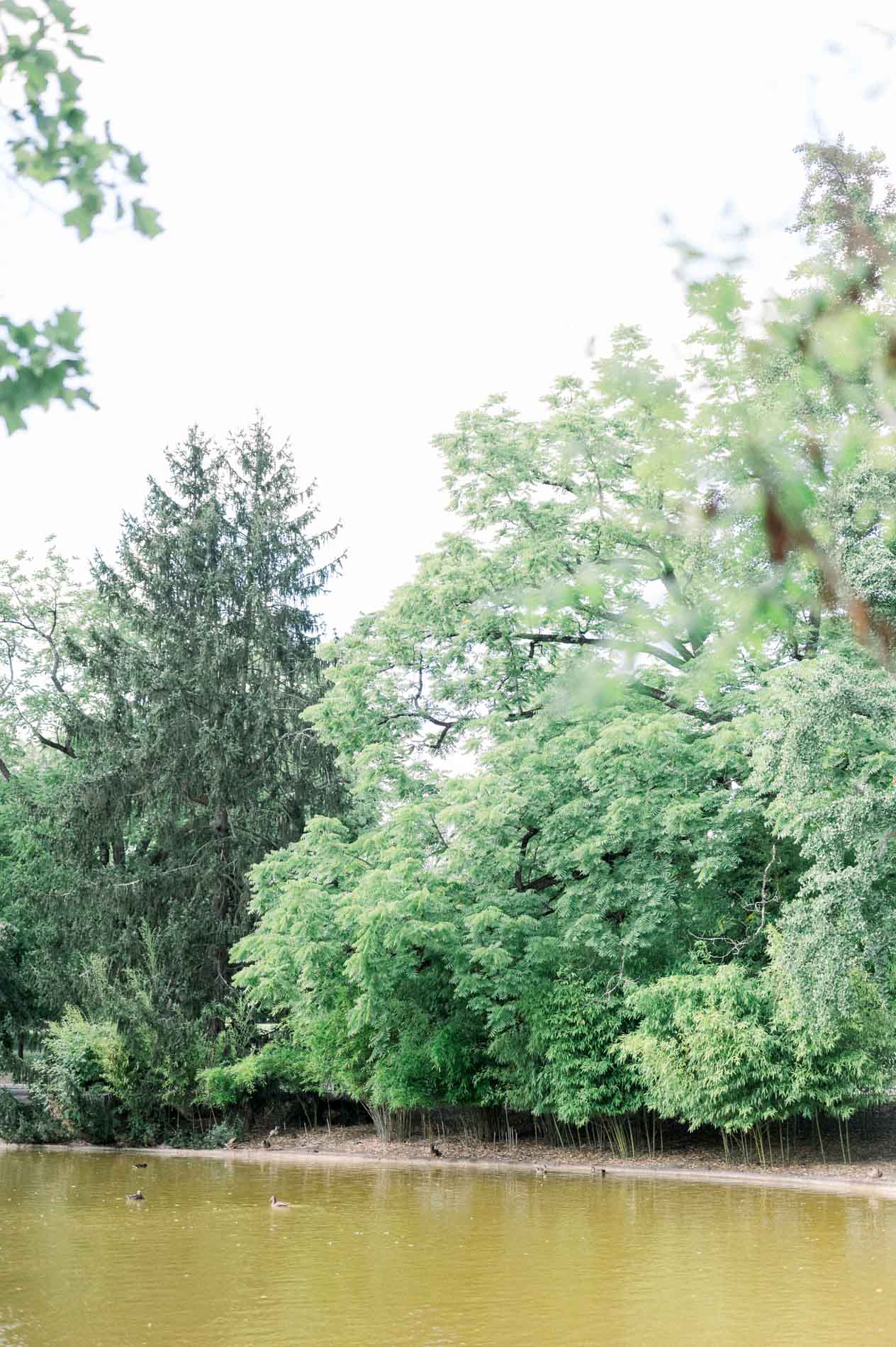 Trees reflected in the lake of the Parc Bordelais