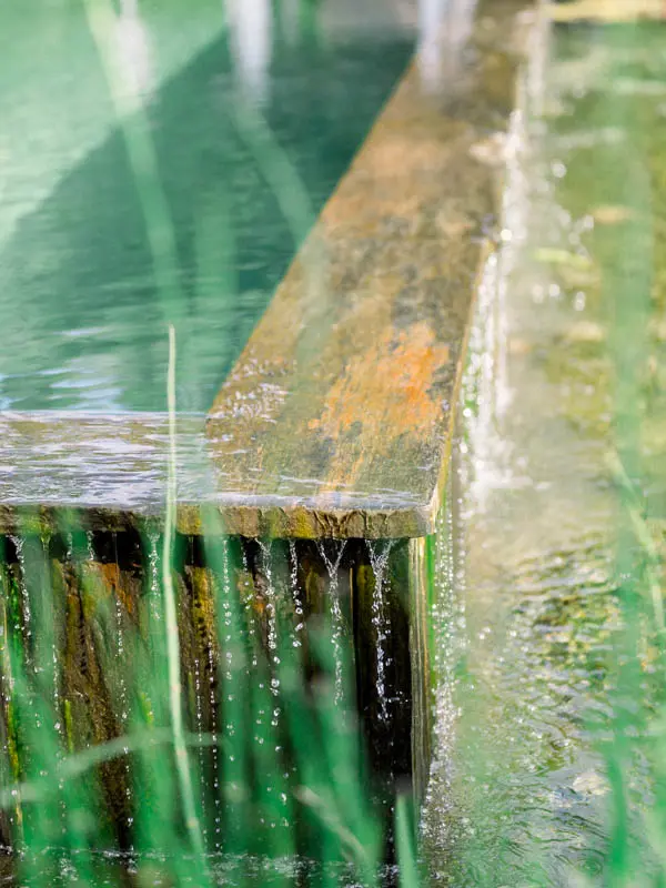 Close-up of the overflowing pool edge surrounded by greenery at Villa la Tosca