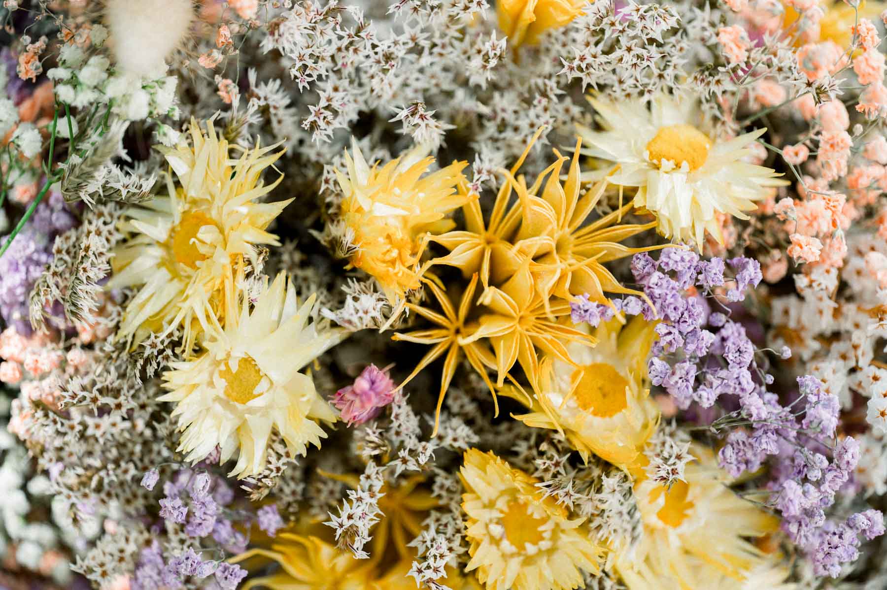 Arrangement of yellow, mauve and white dried flowers for the brunch