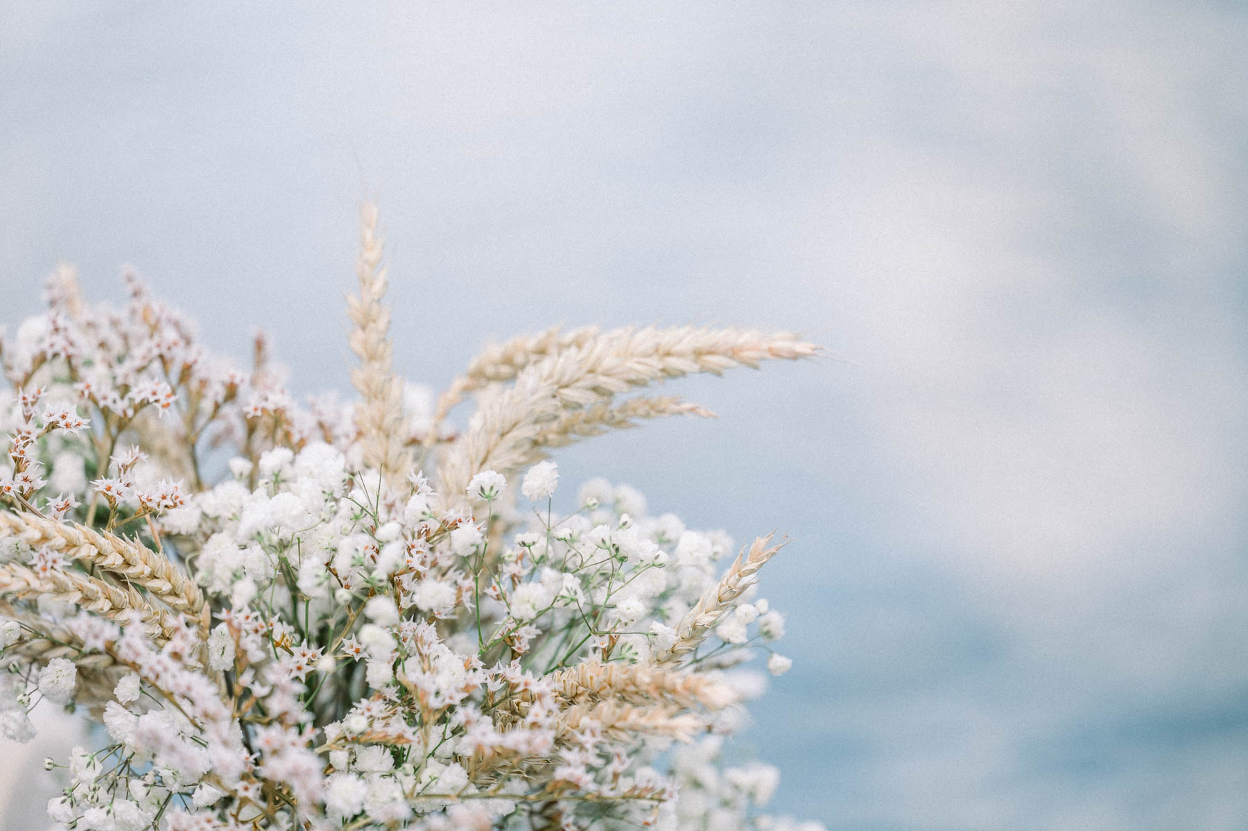 White dried flowers and pampas grass against the sky, barge decor