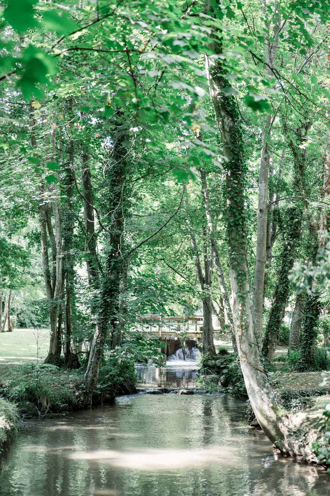 Peaceful stream beneath the tall trees of the Moulin de Launoy grounds