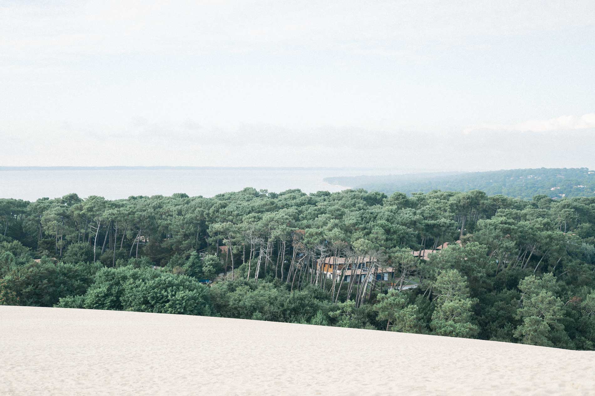 View over the pine forest from the top of the Dune du Pilat