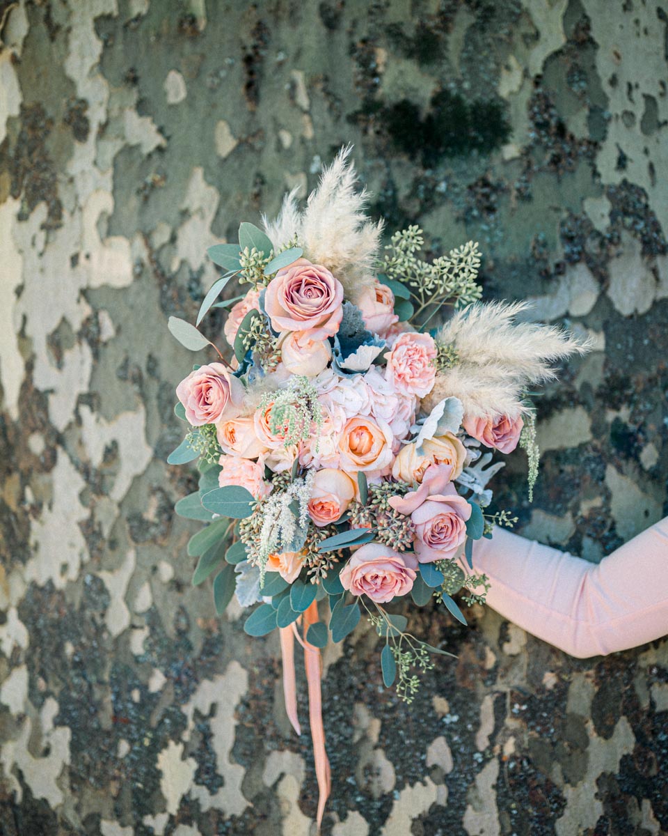 Bouquet of roses and pampas held against plane tree bark