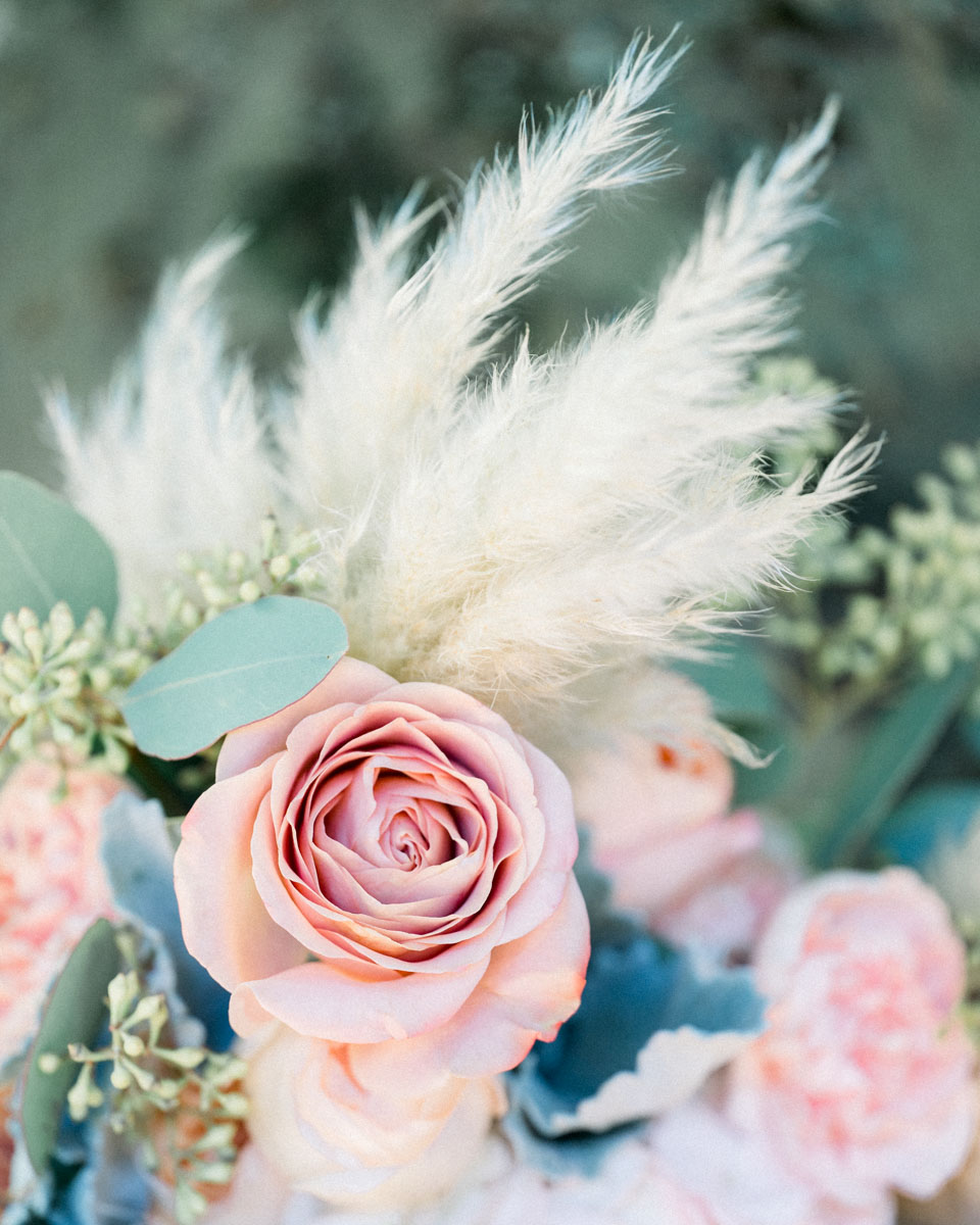 Close-up of a garden rose and pampas plumes in the bouquet