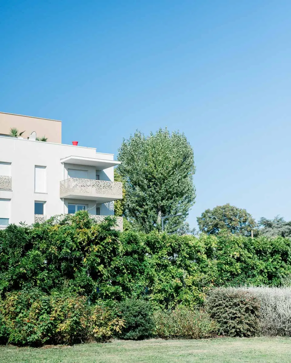 Apartment building and green hedge under a blue sky in Bruges, where the couple got ready