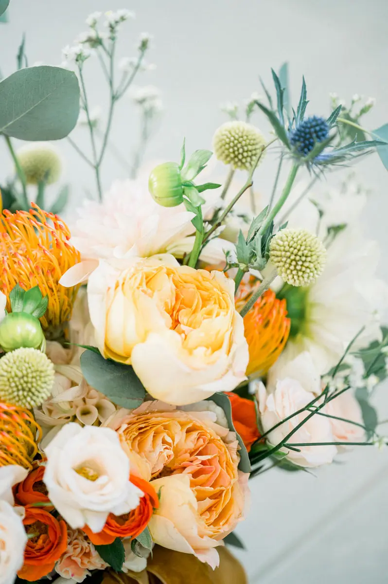 The bride's bouquet of orange roses, ranunculus and blue thistles