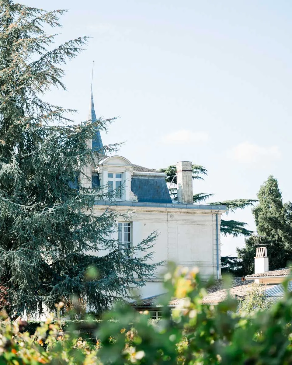 Château Courtade-Dubuc and its turret seen through the trees