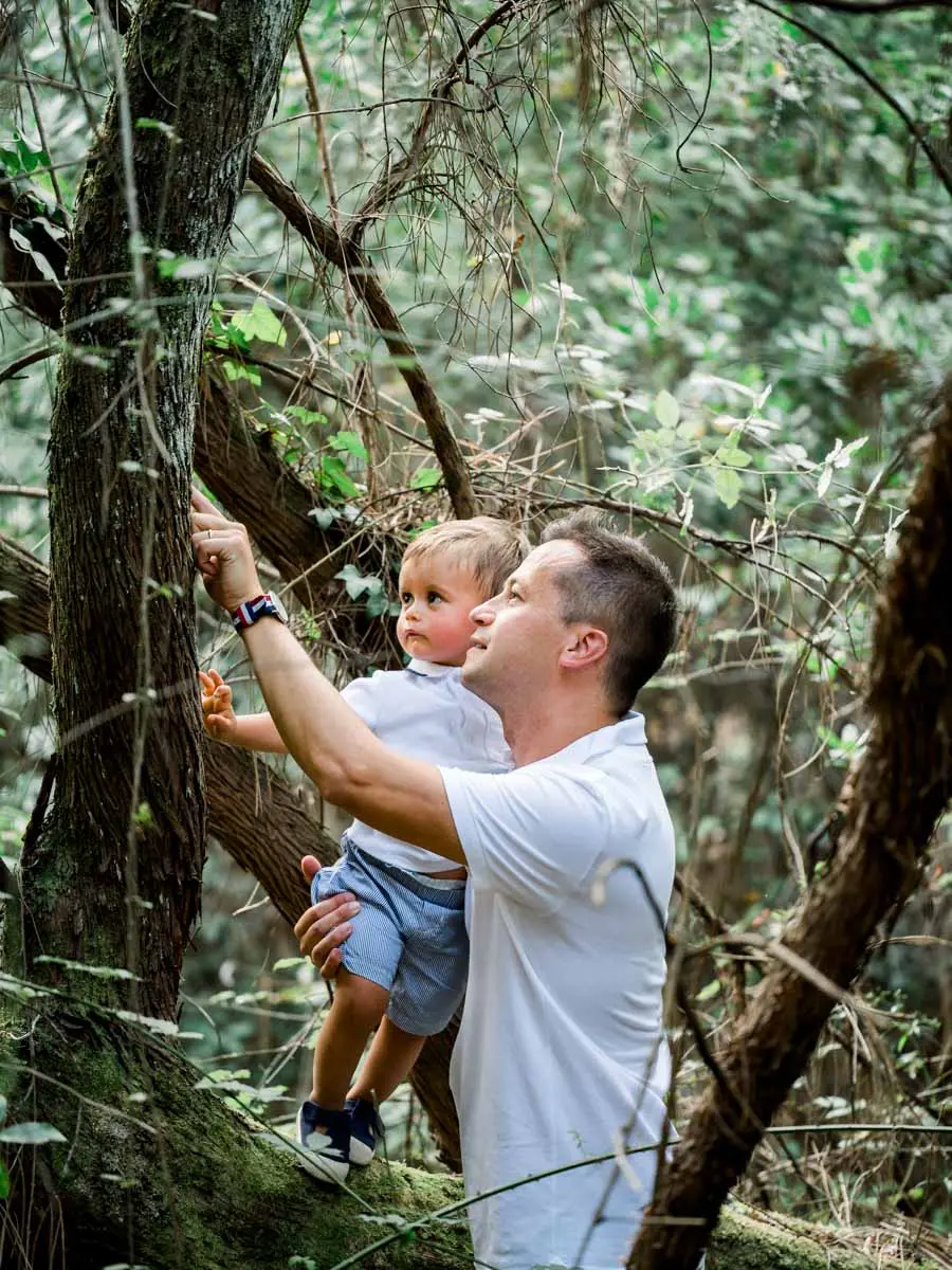 Father helping his little boy climb a tree