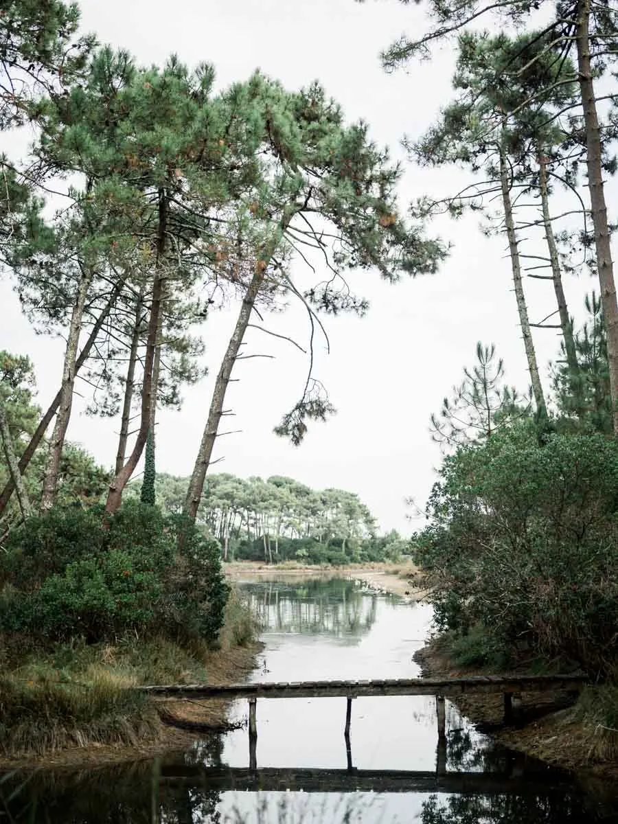 Wooden footbridge over a channel at the Piraillan reservoirs among the pines