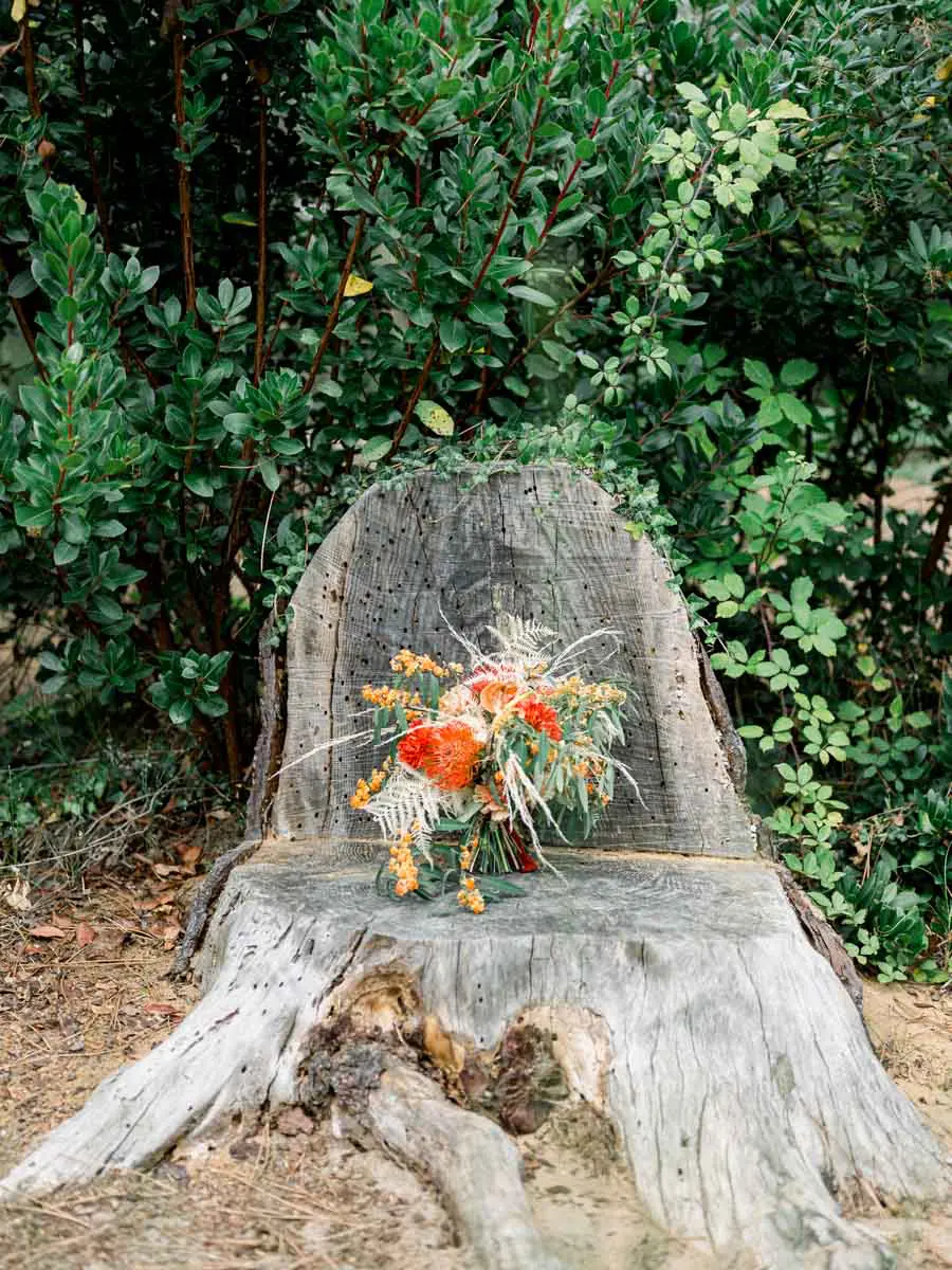 Orange flower bouquet resting on an old tree stump in the forest