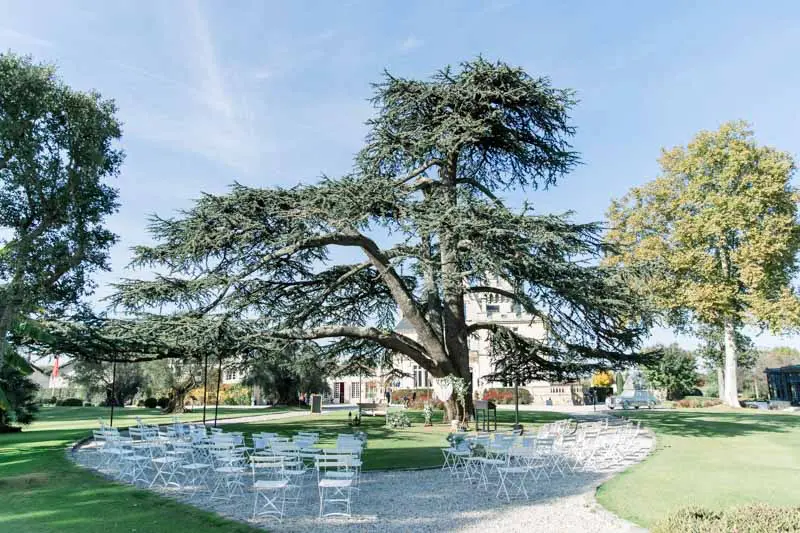 Chaises de la cérémonie laïque installées sous le grand cèdre du château
