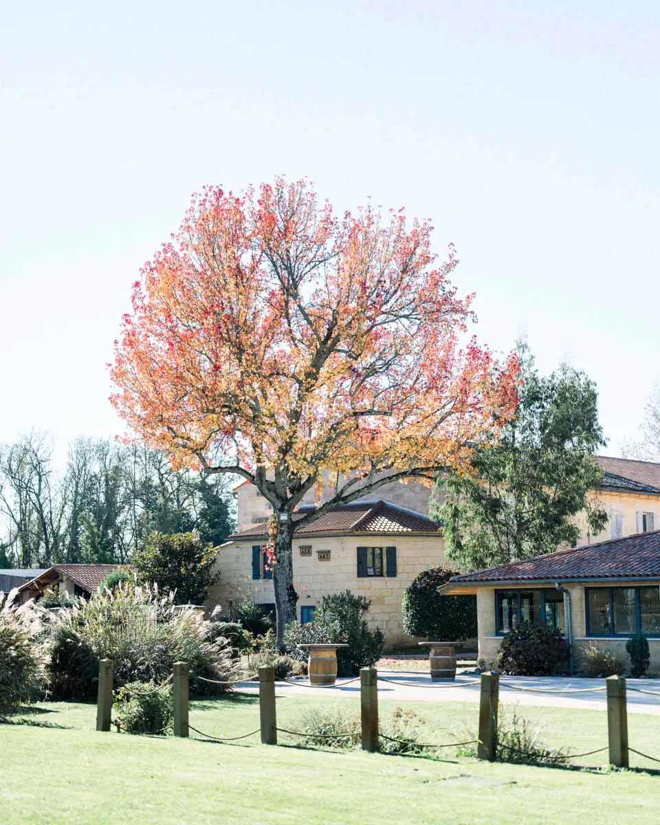 Domaine de Conseillant buildings and a tree in autumn colours