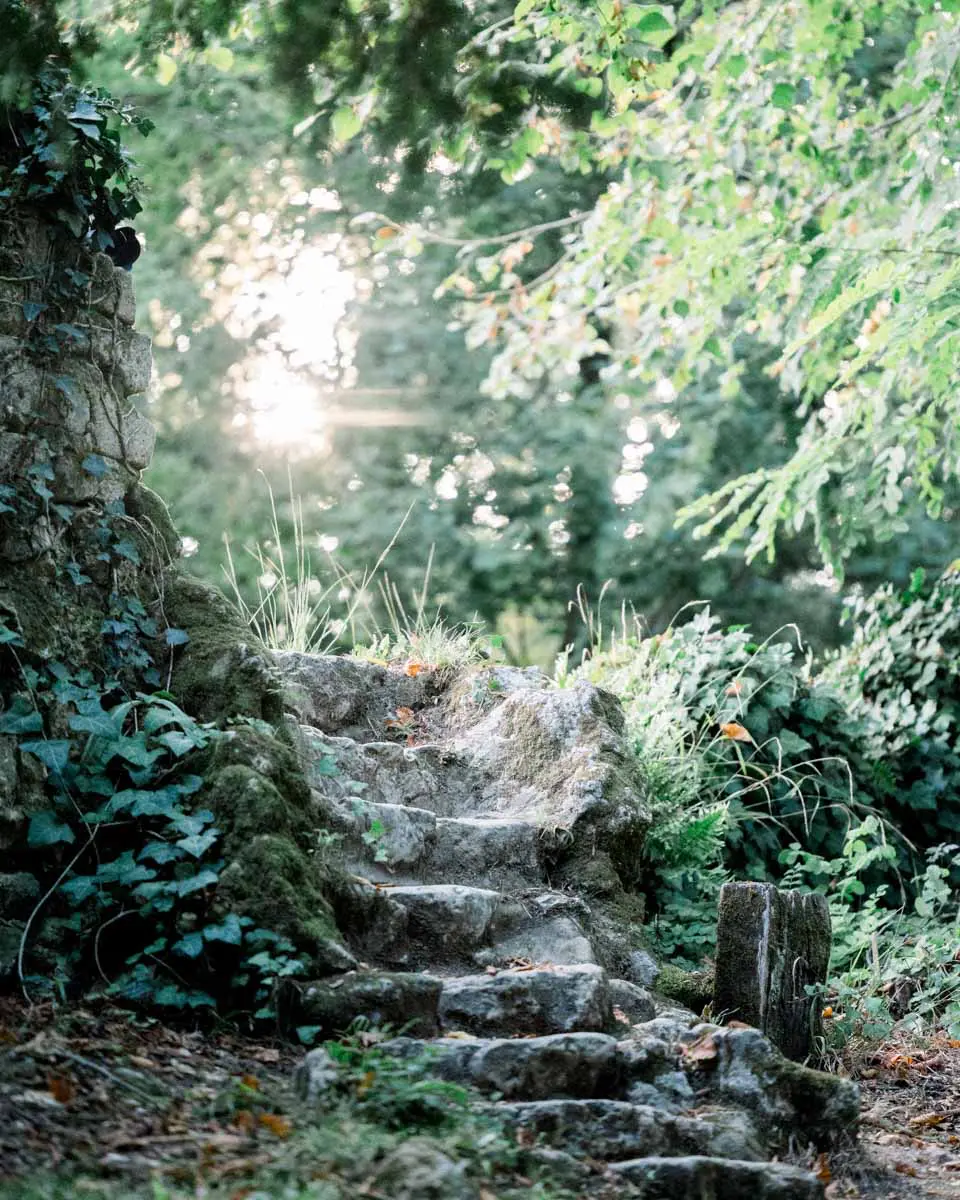 Mossy stone staircase among the greenery of Parc Majolan