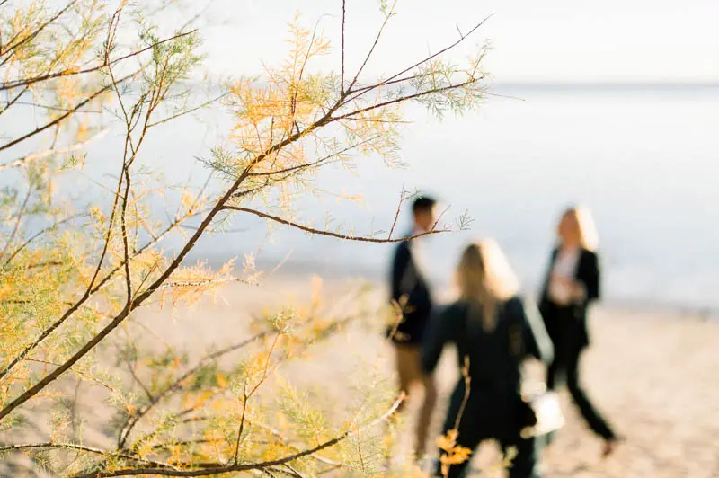 Guests walking along the beach at sunset, seen through the branches
