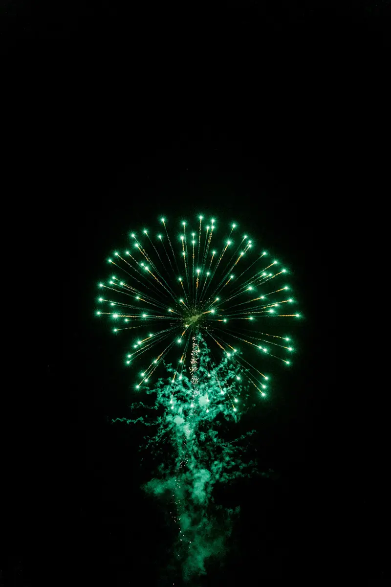 Green burst of fireworks in the night sky at Domaine de Cordet