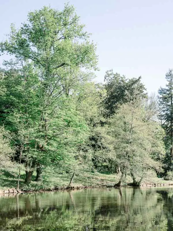 Tall green trees reflected in the pond of Parc Majolan in spring