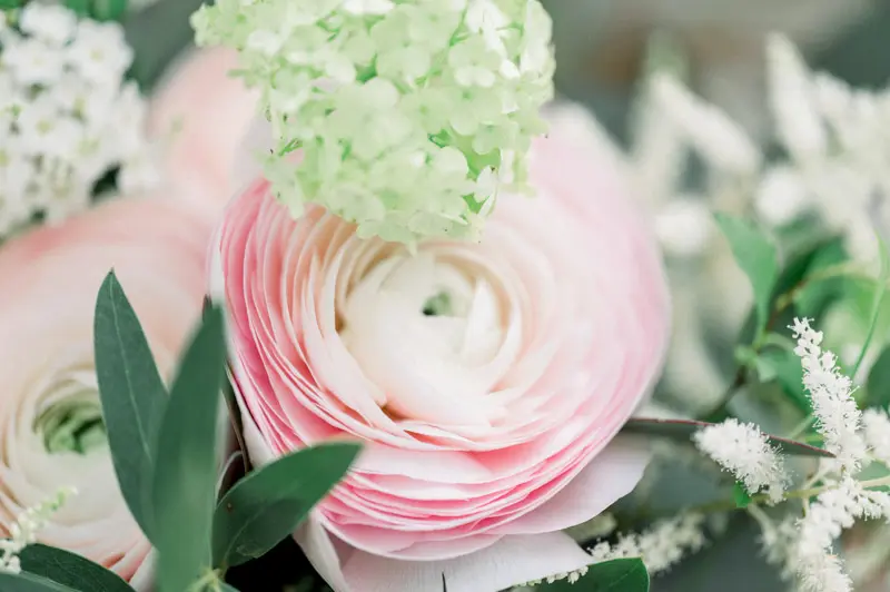 Close-up of a pink ranunculus in the engagement session bouquet
