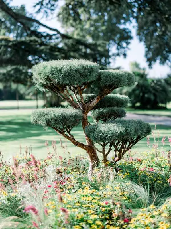 Landscaped gardens of Château Pape Clément, Pessac
