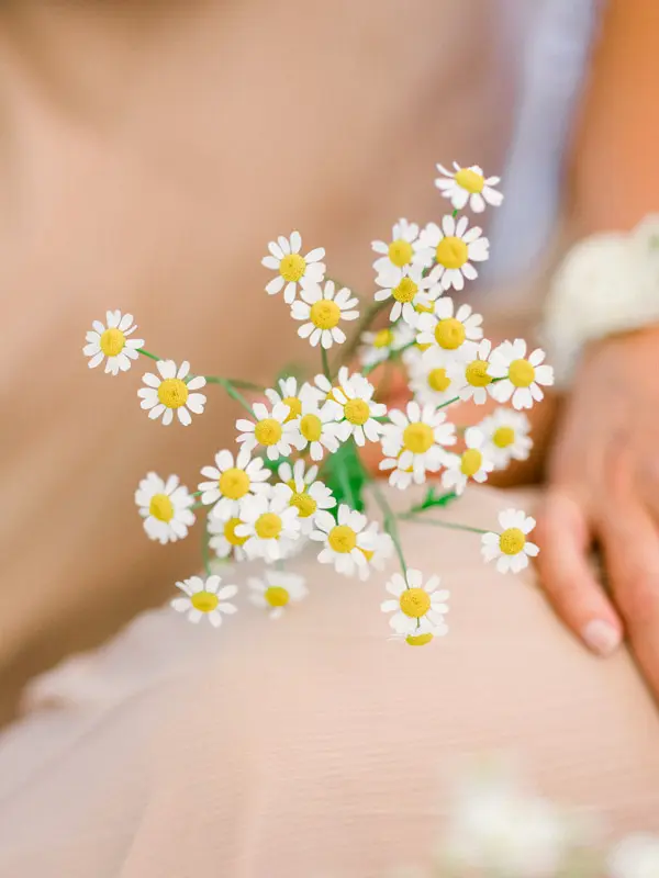 Bouquet of daisies, wedding detail