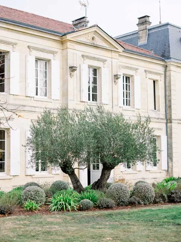 Stone façade and olive tree at Château de Garde