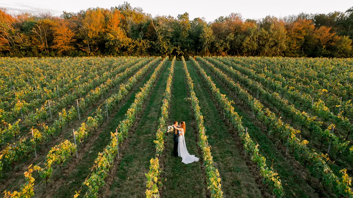 Les mariés au milieu des rangs de vigne du Château de Seguin, près de Bordeaux